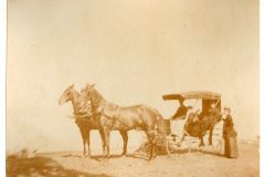 Two Horse Surrey