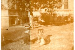 Flavel child playing with his dog.