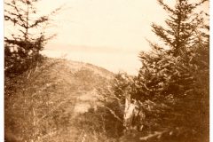View of the Columbia River