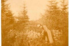 Picking flowers in the hills back of Astoria'