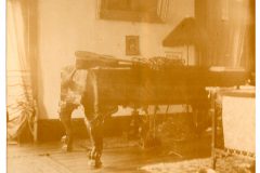 Flavel House Music Room