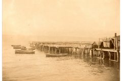 The butterfly gillnet fleet at anchor