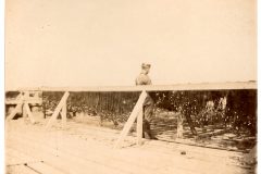 Man surrounded by drying gill nets. Man surrounded by drying gill nets.