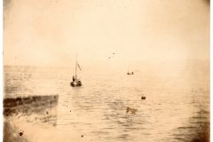 Two Butterfly gillnet sail boats on the Columbia River Two Butterfly gillnet sail boats on the Columbia River