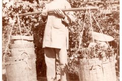 Chinese Man with his baskets of produce. Chinese Man with his baskets of produce.