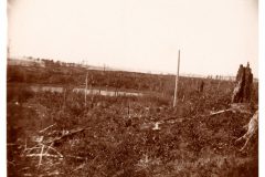 Empty Field