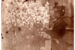 Katie Flavel next to her lillies