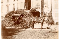 Horse and Carriage Horse and Carriage