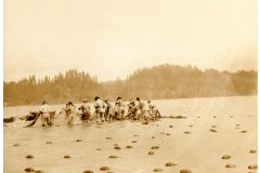 Seining in the river