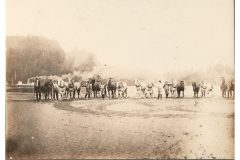Seining Horse Teams
