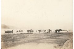 Seine Horses in River