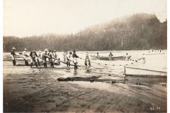 Fishermen seining in river