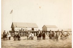 Barns and horses