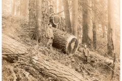 Three men log skid