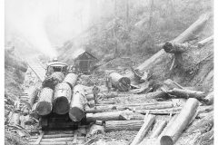 Donkey engine and logs Donkey engine and logs