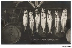 Salmon Labeled with Weight Salmon Labeled with Weight